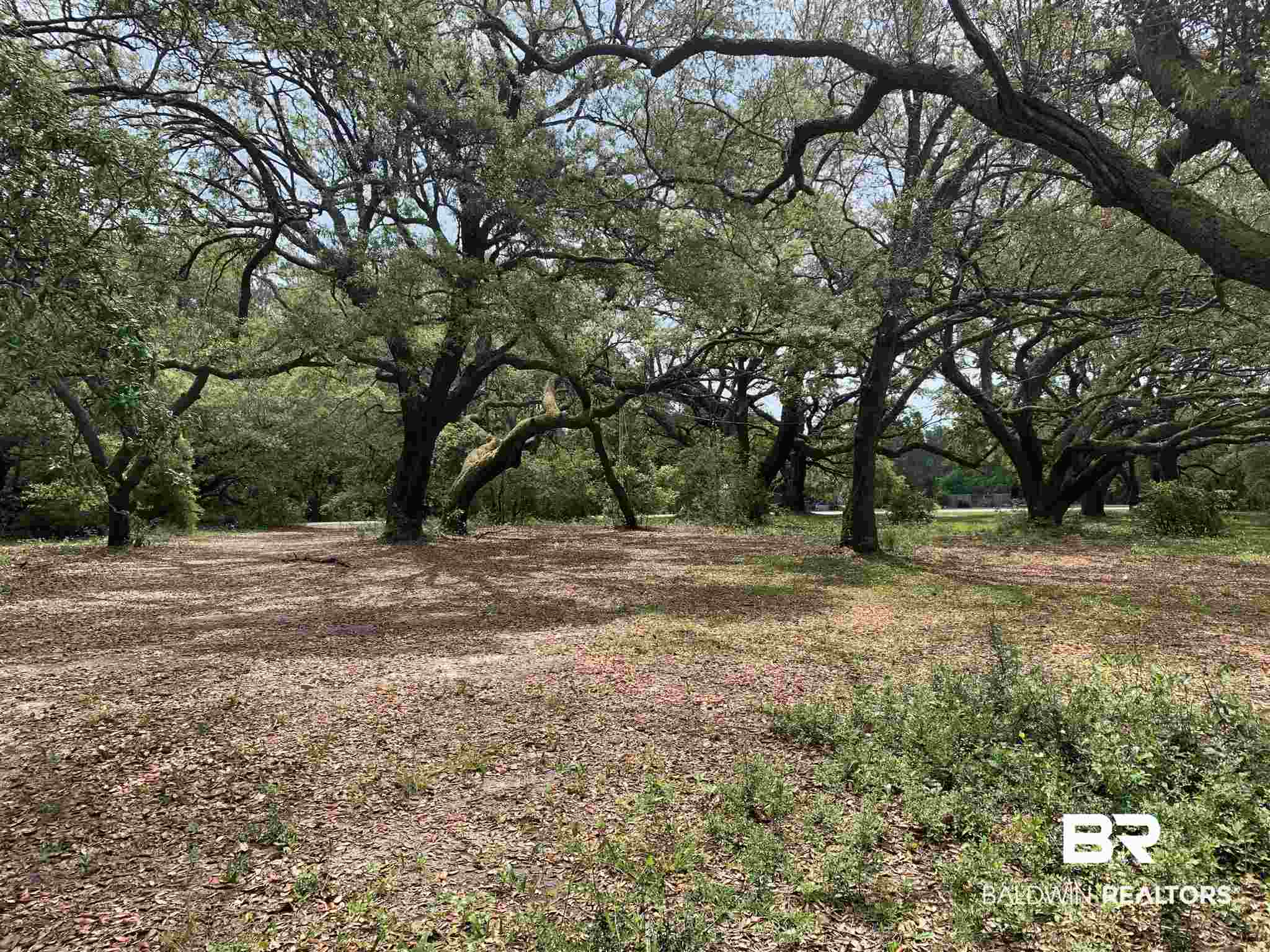 9587 John Hall Lane Foley, AL 36535 - Photo 2 of 19 Land View