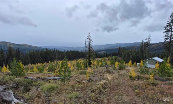 $229,000 | Tbd French Gulch Road, Unit 2, Elk City, ID 83525