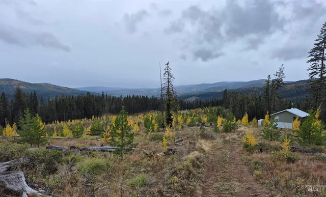 $229,000 | Tbd French Gulch Road, Unit 2, Elk City, ID 83525