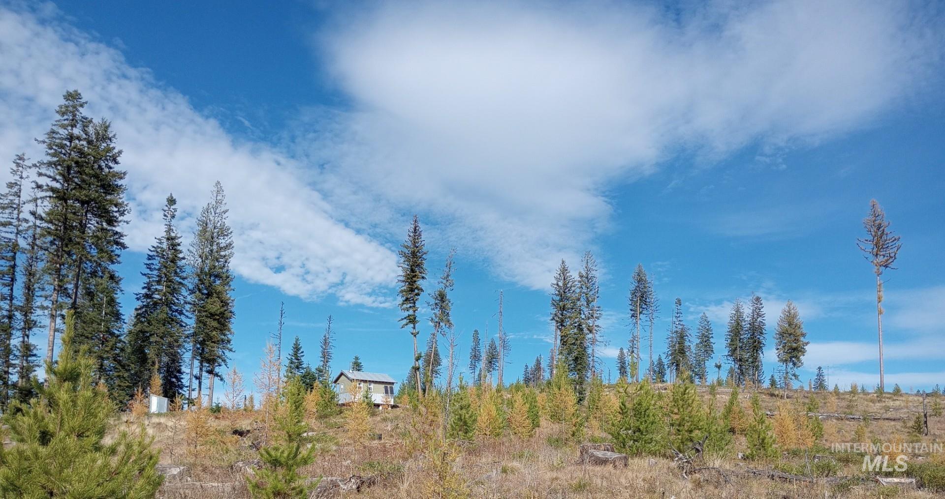 Tbd French Gulch Road, Unit 2 Elk City, ID 83525 - Photo 12 of 16