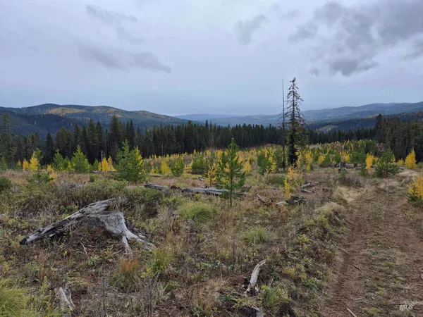 $229,000 | Tbd French Gulch Road, Unit 2, Elk City, ID 83525