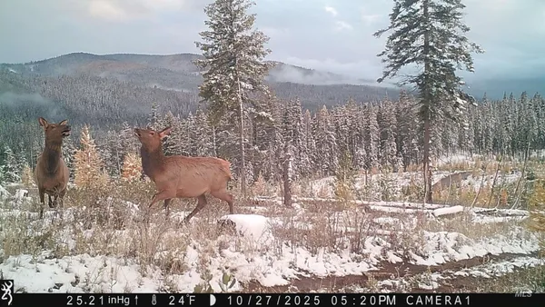 $229,000 | Tbd French Gulch Road, Unit 2, Elk City, ID 83525