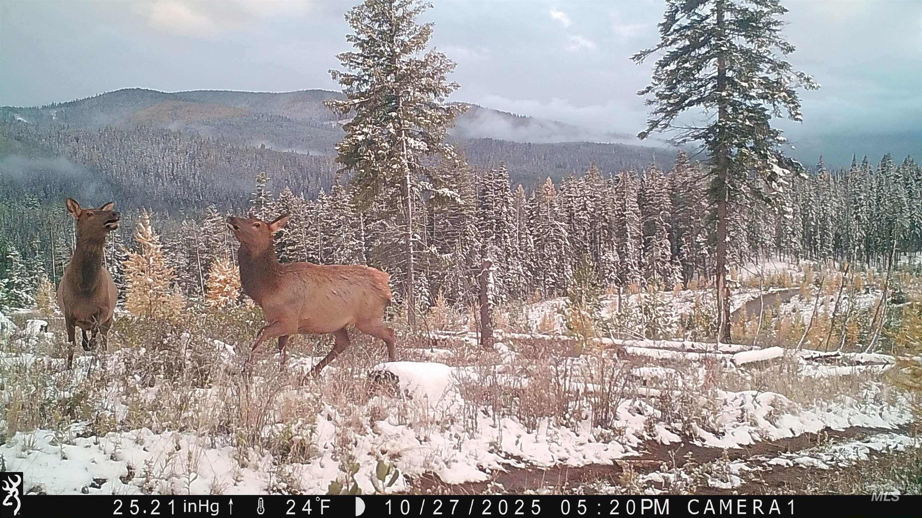 Tbd French Gulch Road, Unit 2 Elk City, ID 83525 - Photo 15 of 16 View of mountain backdrop