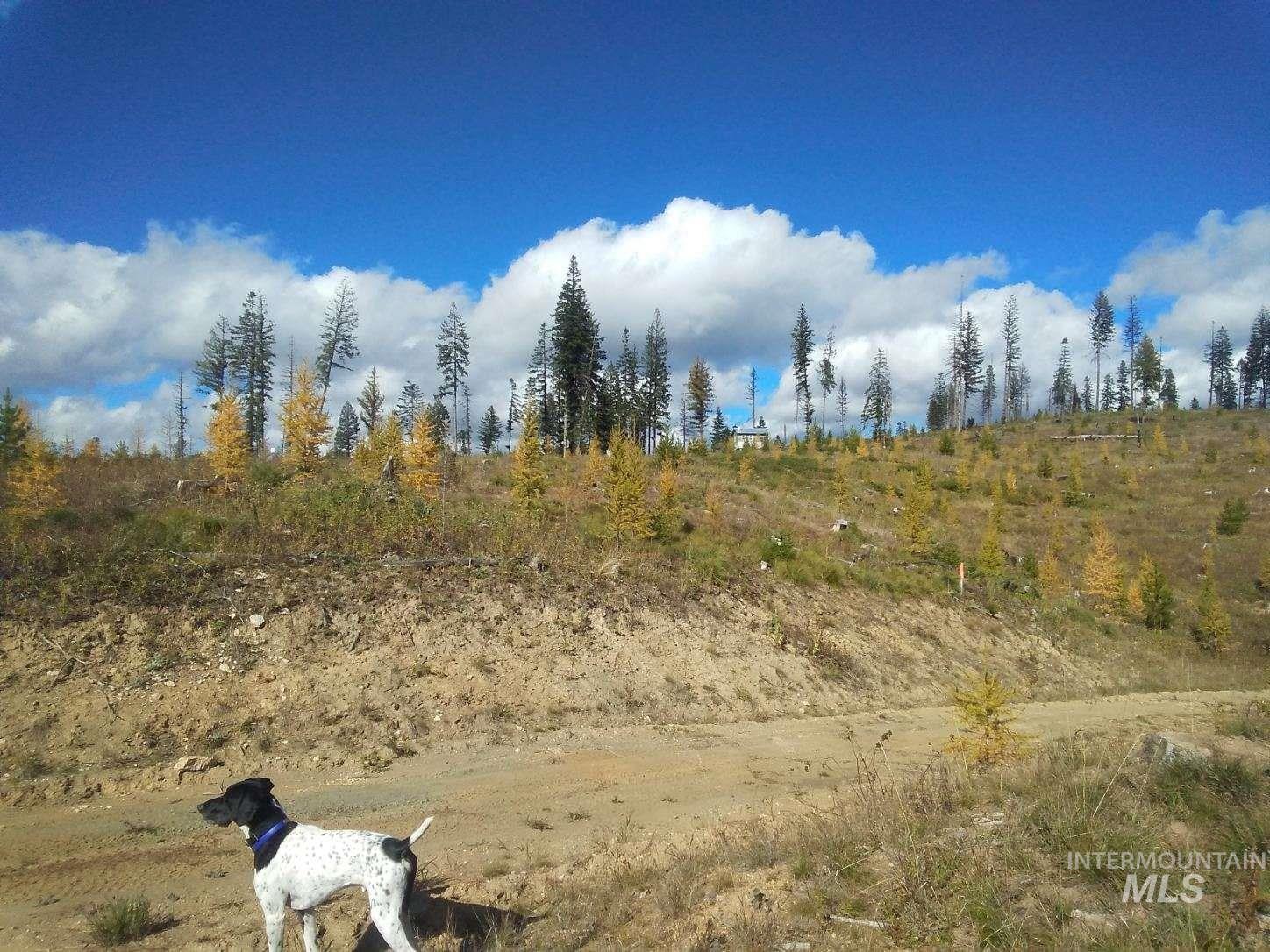 Tbd French Gulch Road, Unit 2 Elk City, ID 83525 - Photo 20 of 23