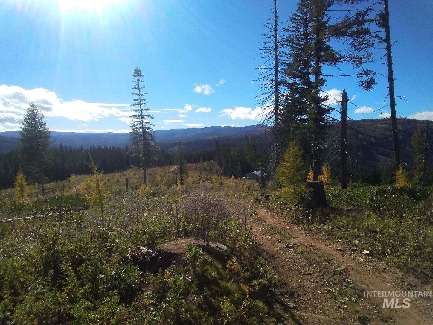 Tbd French Gulch Road, Unit 2 Elk City, ID 83525 - Photo 6 of 23