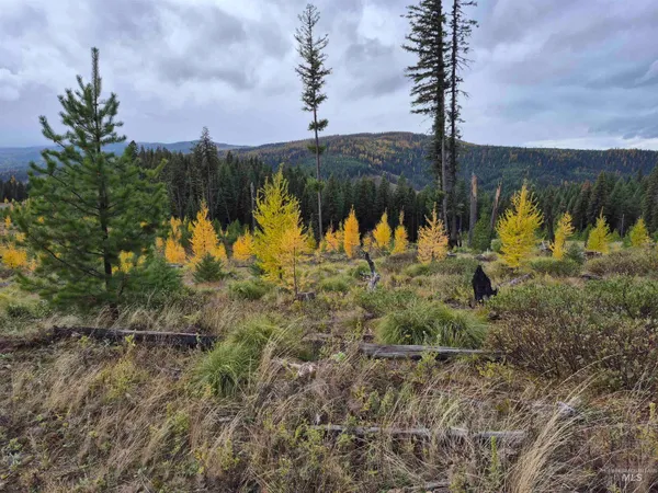 $229,000 | Tbd French Gulch Road, Unit 2, Elk City, ID 83525