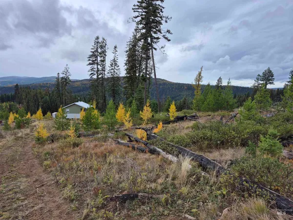 $229,000 | Tbd French Gulch Road, Unit 2, Elk City, ID 83525