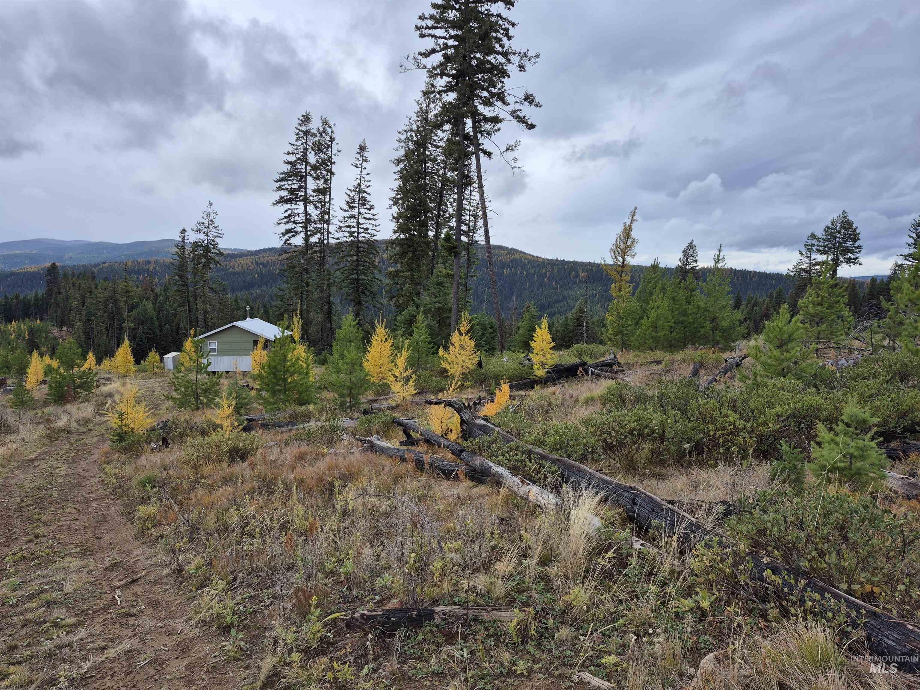 Tbd French Gulch Road, Unit 2 Elk City, ID 83525 - Photo 9 of 23 View of mountain background with rural landscape