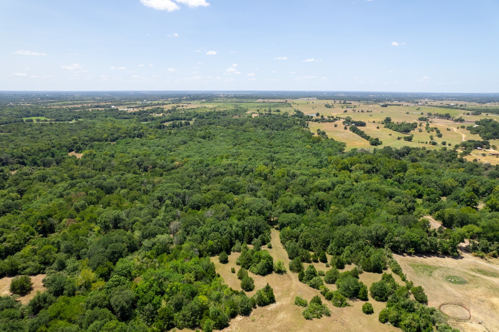 12515 Whitman Road Brenham, TX 77833 - Photo 5 of 21