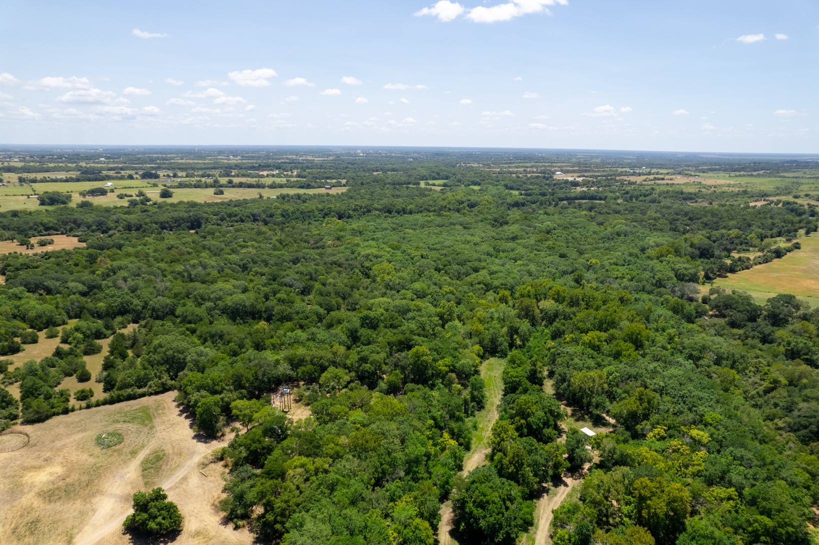 12515 Whitman Road Brenham, TX 77833 - Photo 6 of 21
