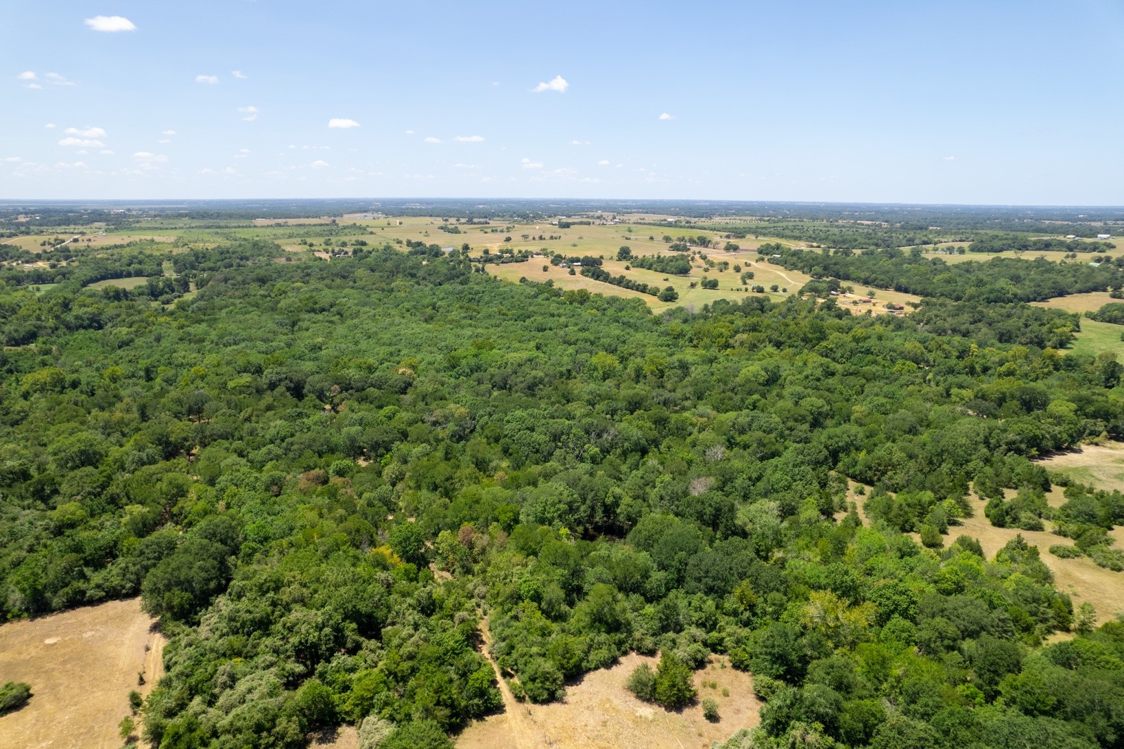 12515 Whitman Road Brenham, TX 77833 - Photo 7 of 21