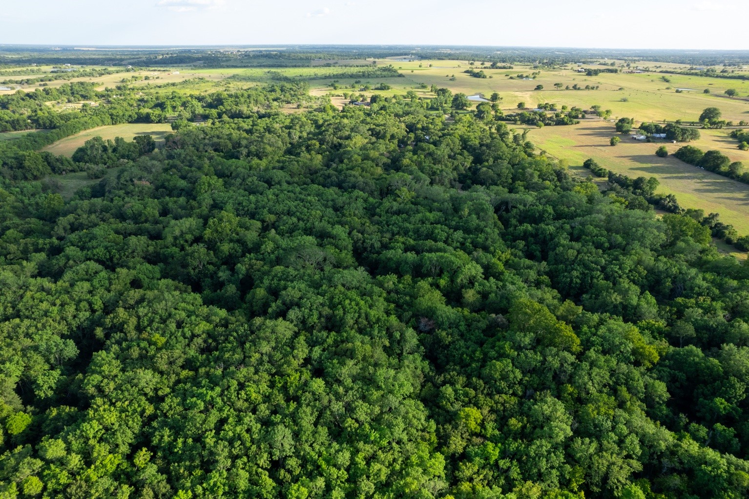 12515 Whitman Road Brenham, TX 77833 - Photo 10 of 21