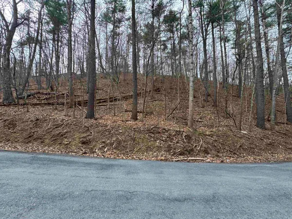 $7,500 | Tbd Fairway Drive, Mount Jackson, VA 22842