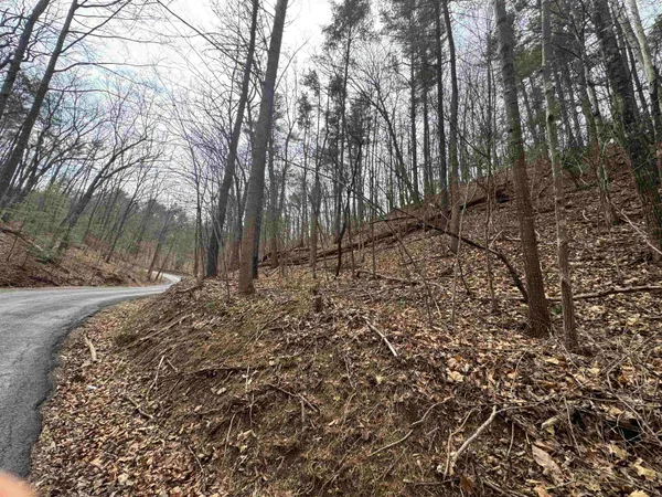 $7,500 | Tbd Fairway Drive, Mount Jackson, VA 22842