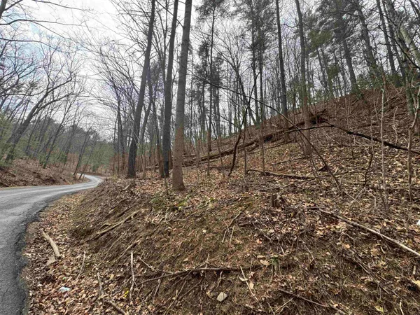 $7,500 | Tbd Fairway Drive, Mount Jackson, VA 22842