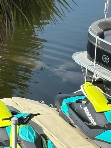 a view of a walk in closet