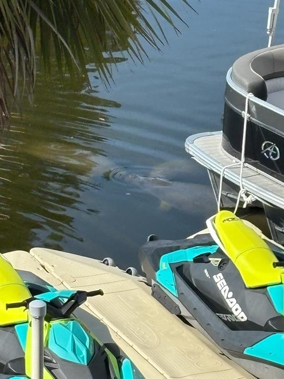 7119 Fair Lane Hudson, FL 34667 - Photo 27 of 32 a view of a swimming pool with a chairs