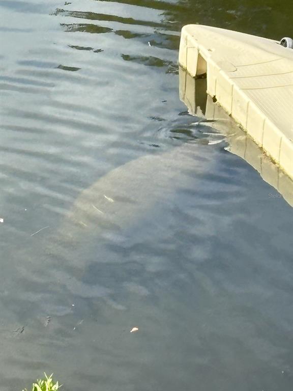 7119 Fair Lane Hudson, FL 34667 - Photo 28 of 32 a view of a walk in closet