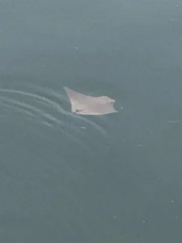 $2,700 | 7119 Fair Lane, Hudson, FL 34667