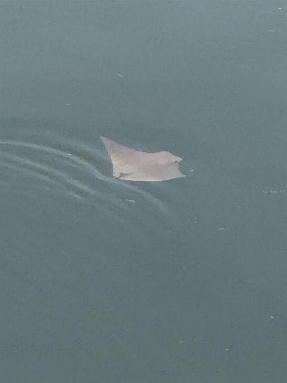 7119 Fair Lane Hudson, FL 34667 - Photo 30 of 32