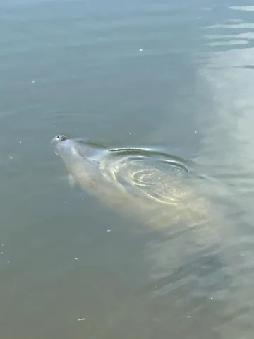 $2,700 | 7119 Fair Lane, Hudson, FL 34667