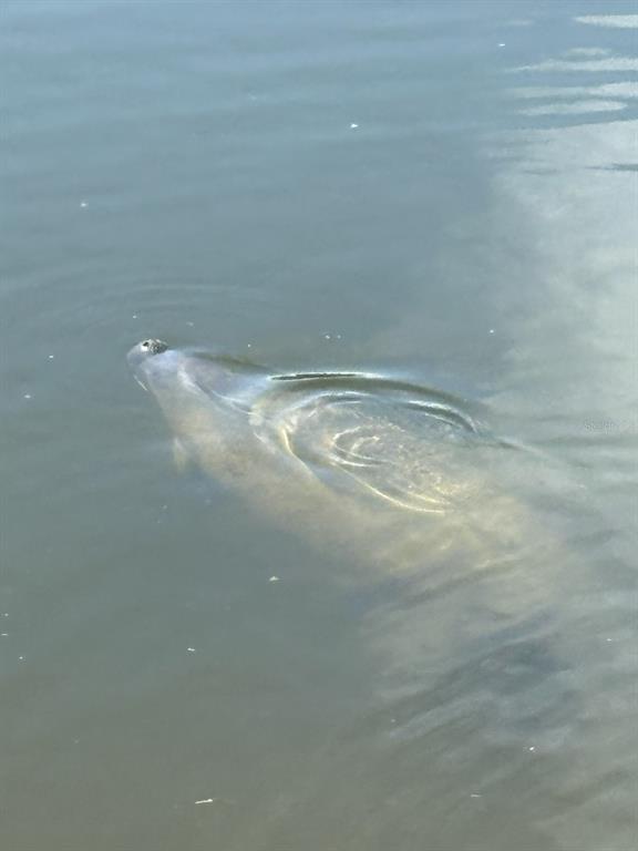 7119 Fair Lane Hudson, FL 34667 - Photo 31 of 32 a view of a small space