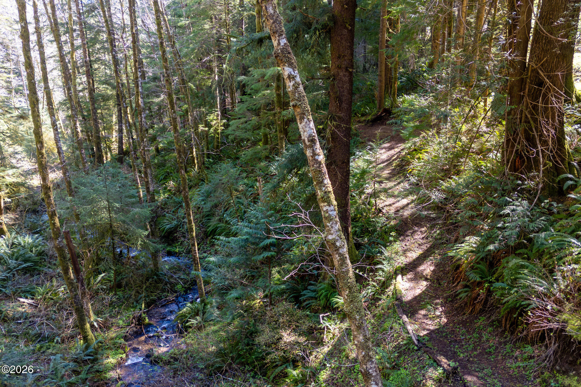 23100 Miami Foley Road Nehalem, OR 97131 - Photo 13 of 49 42_dji_20260327142935_0123_d-edit