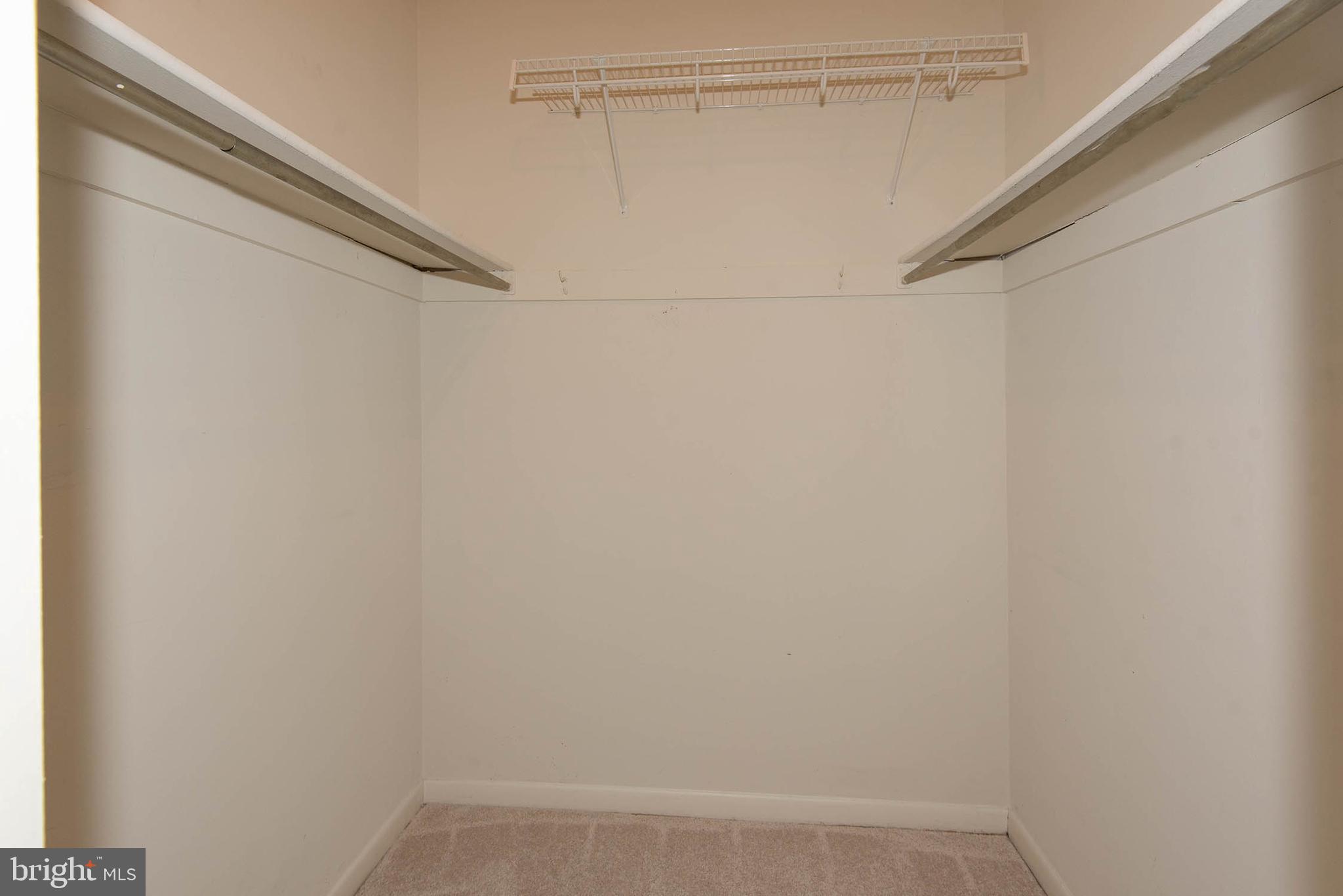 11204 Chestnut Grove Square, Unit 112043 Reston, VA 20190 - Photo 22 of 30 Primary bedroom walk-in closet