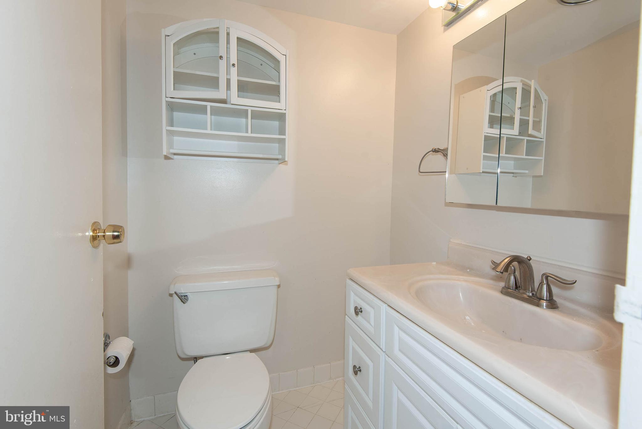 11204 Chestnut Grove Square, Unit 112043 Reston, VA 20190 - Photo 23 of 30 Primary bathroom