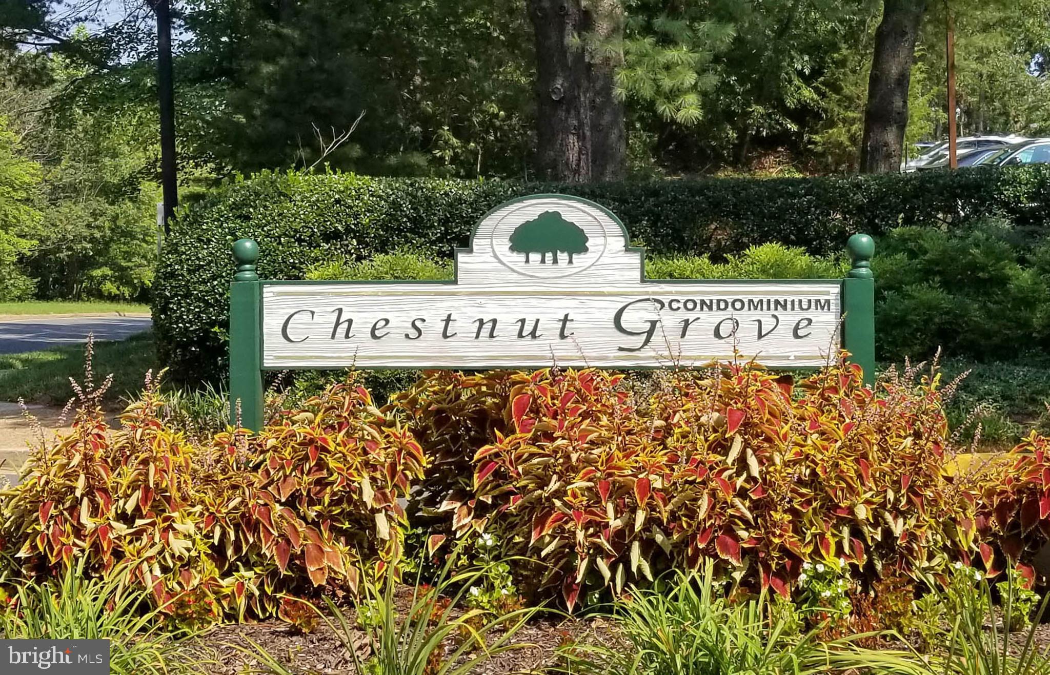11204 Chestnut Grove Square, Unit 112043 Reston, VA 20190 - Photo 27 of 30 Community