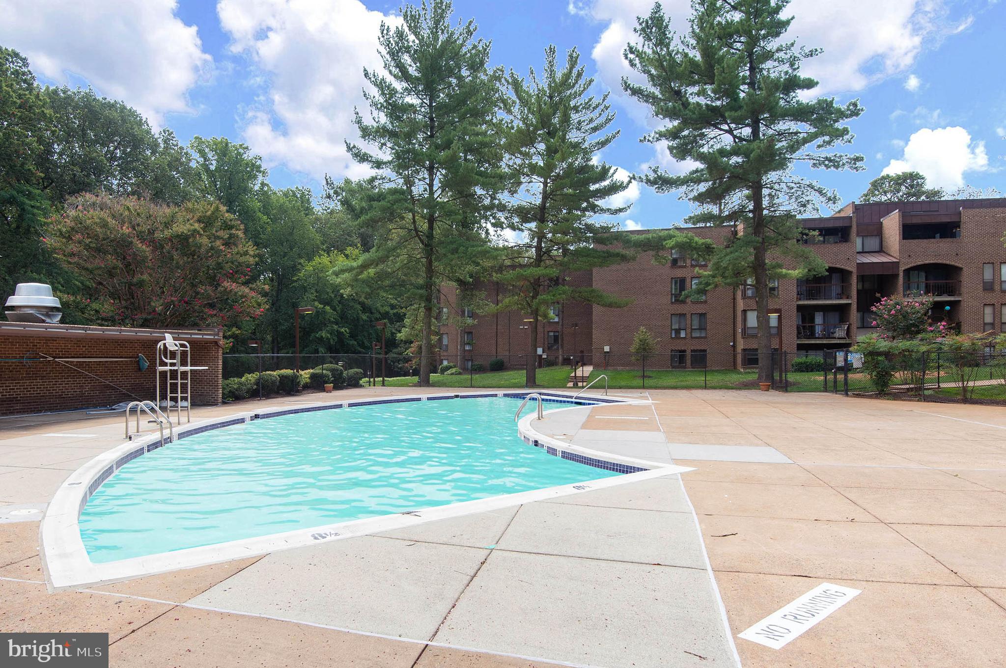 11204 Chestnut Grove Square, Unit 112043 Reston, VA 20190 - Photo 30 of 30 Pool