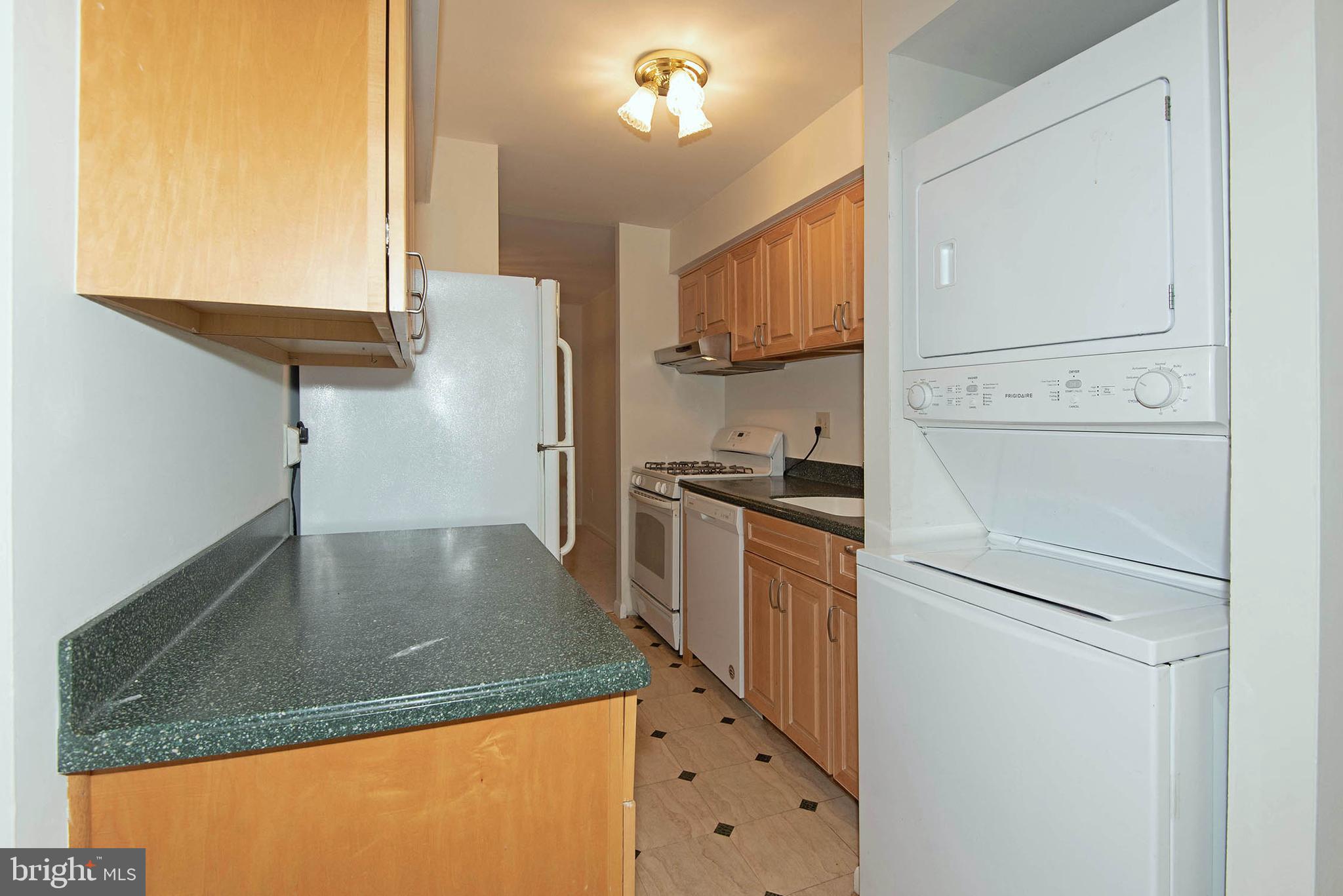 11204 Chestnut Grove Square, Unit 112043 Reston, VA 20190 - Photo 10 of 30 Kitchen