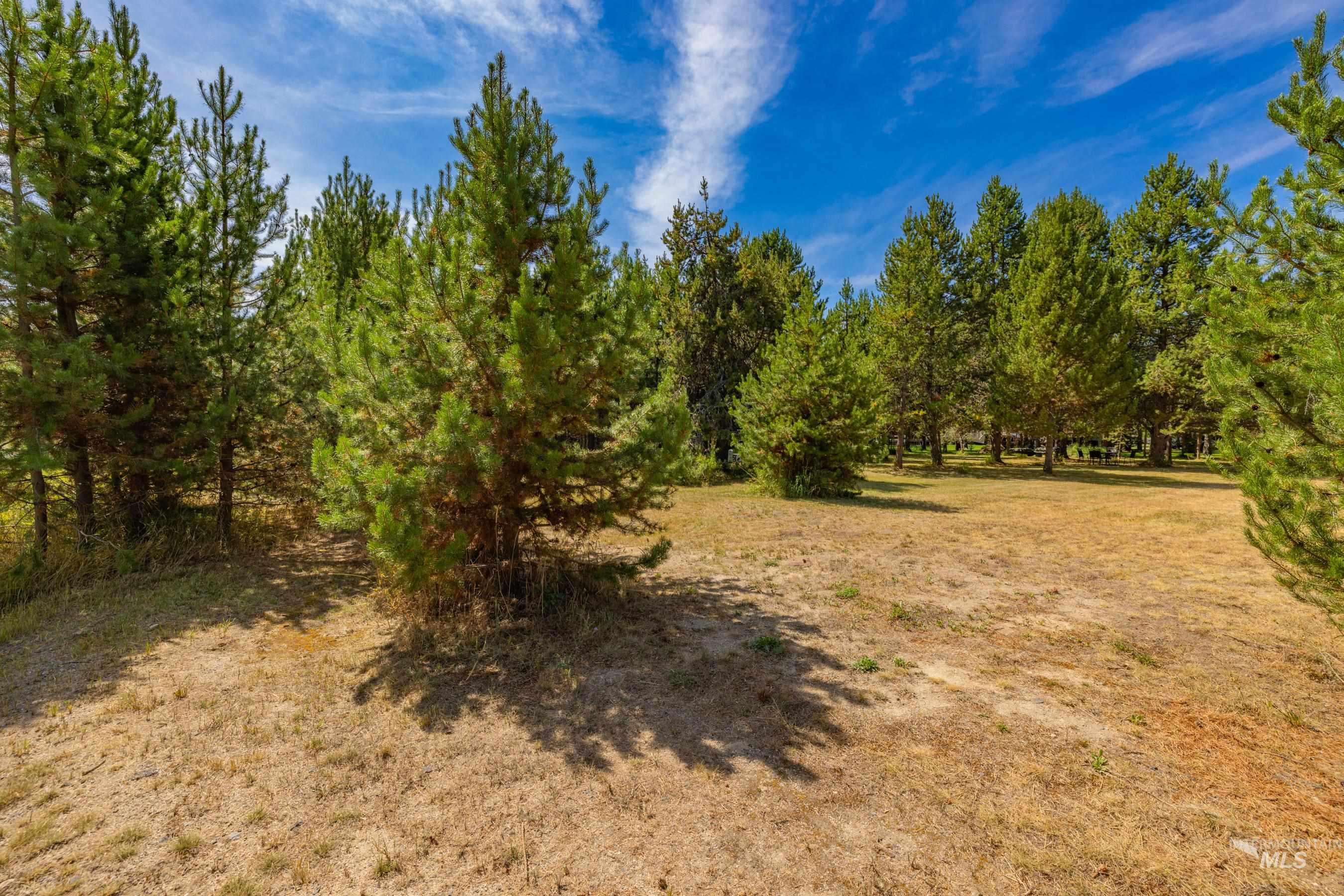 12917 Spring Valley Road Donnelly, ID 83615 - Photo 8 of 25 Gallery Image 8