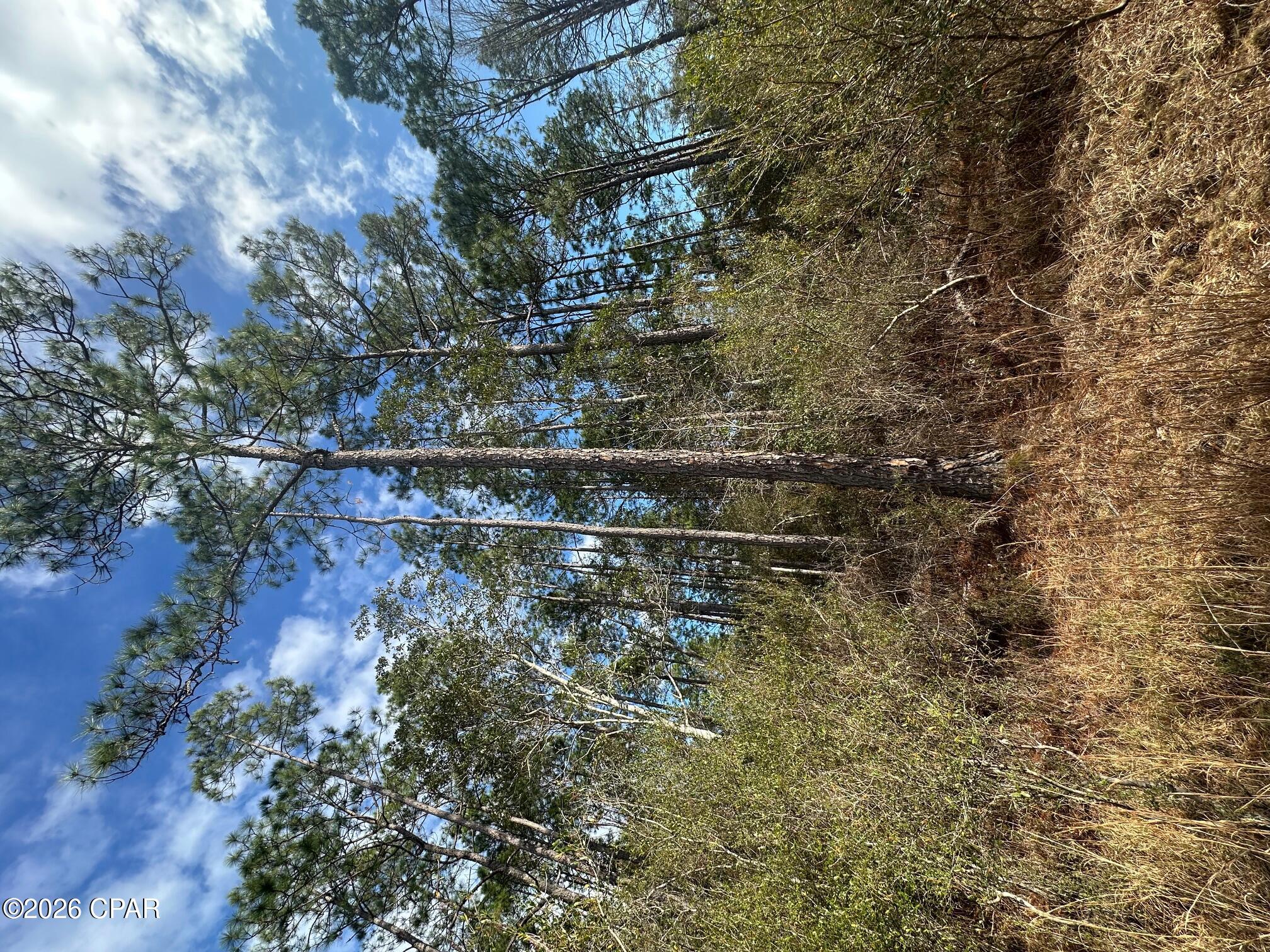 5033 Douglas Ferry Road Caryville, FL 32427 - Photo 1 of 11