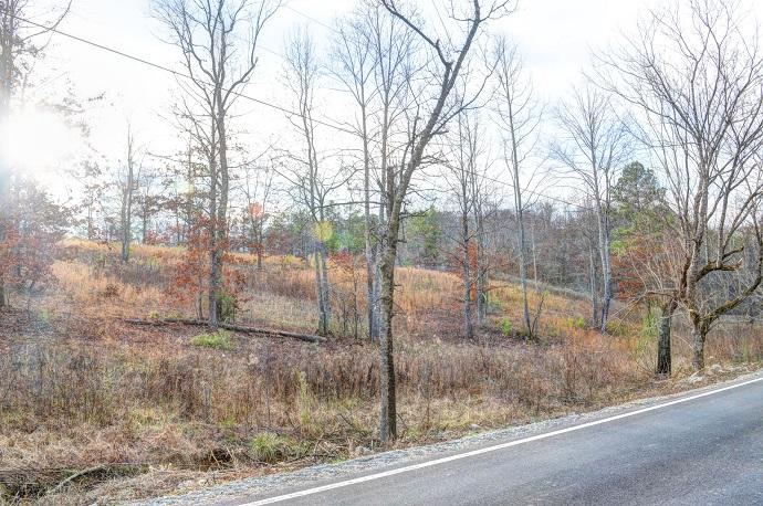 Lot 3 White Flats Road Dayton, TN 37321 - Photo 13 of 17 white flats 11