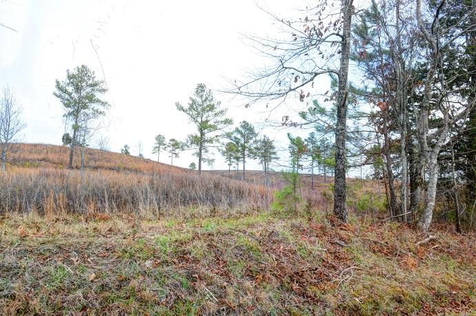 Lot 3 White Flats Road Dayton, TN 37321 - Photo 15 of 17 white flats 13