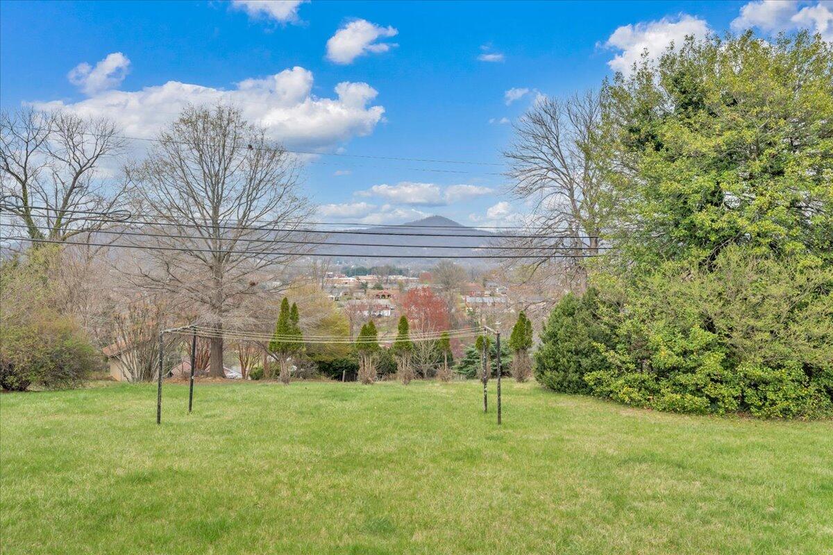449 Cameron Drive Vinton, VA 24179 - Photo 35 of 39 a view of a backyard
