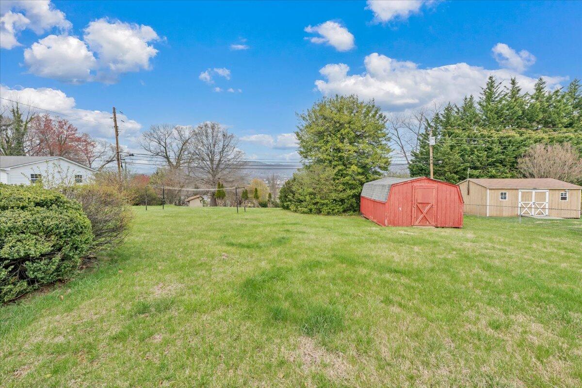 449 Cameron Drive Vinton, VA 24179 - Photo 36 of 39 a fire hydrant in the middle of a field