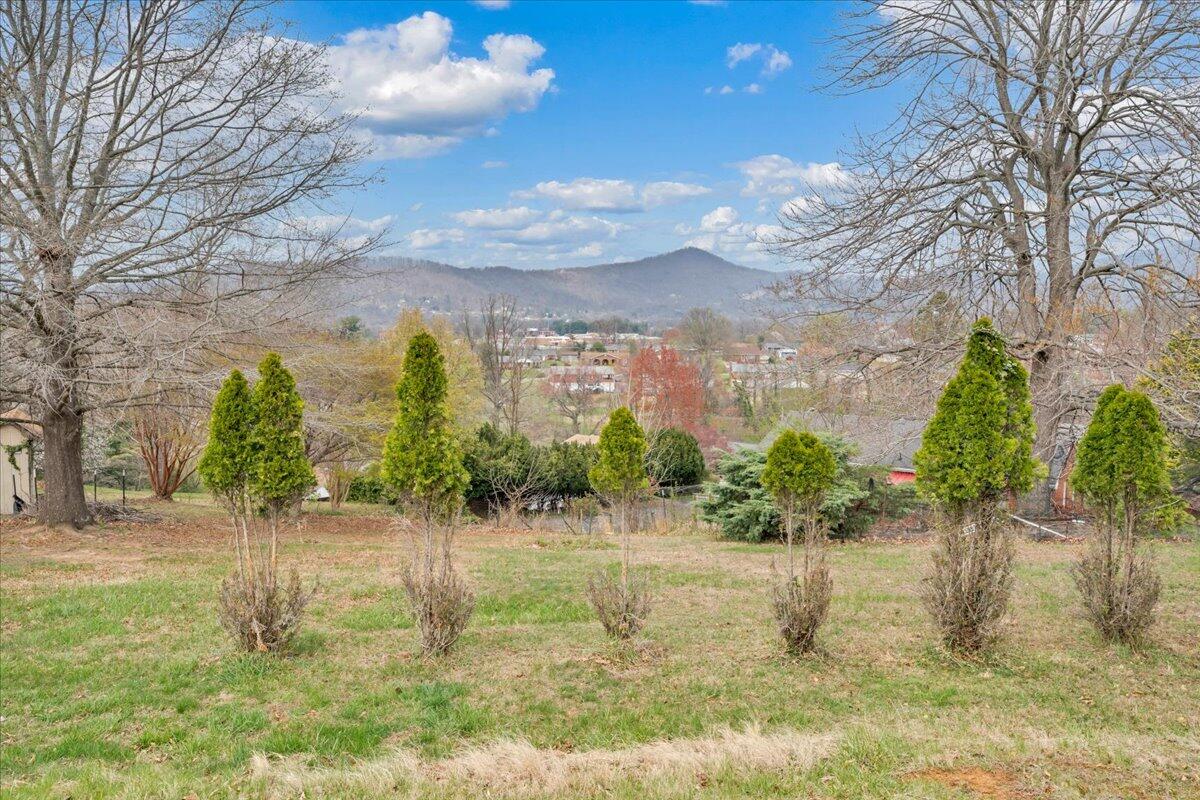 449 Cameron Drive Vinton, VA 24179 - Photo 4 of 39 a view of a lake with a yard