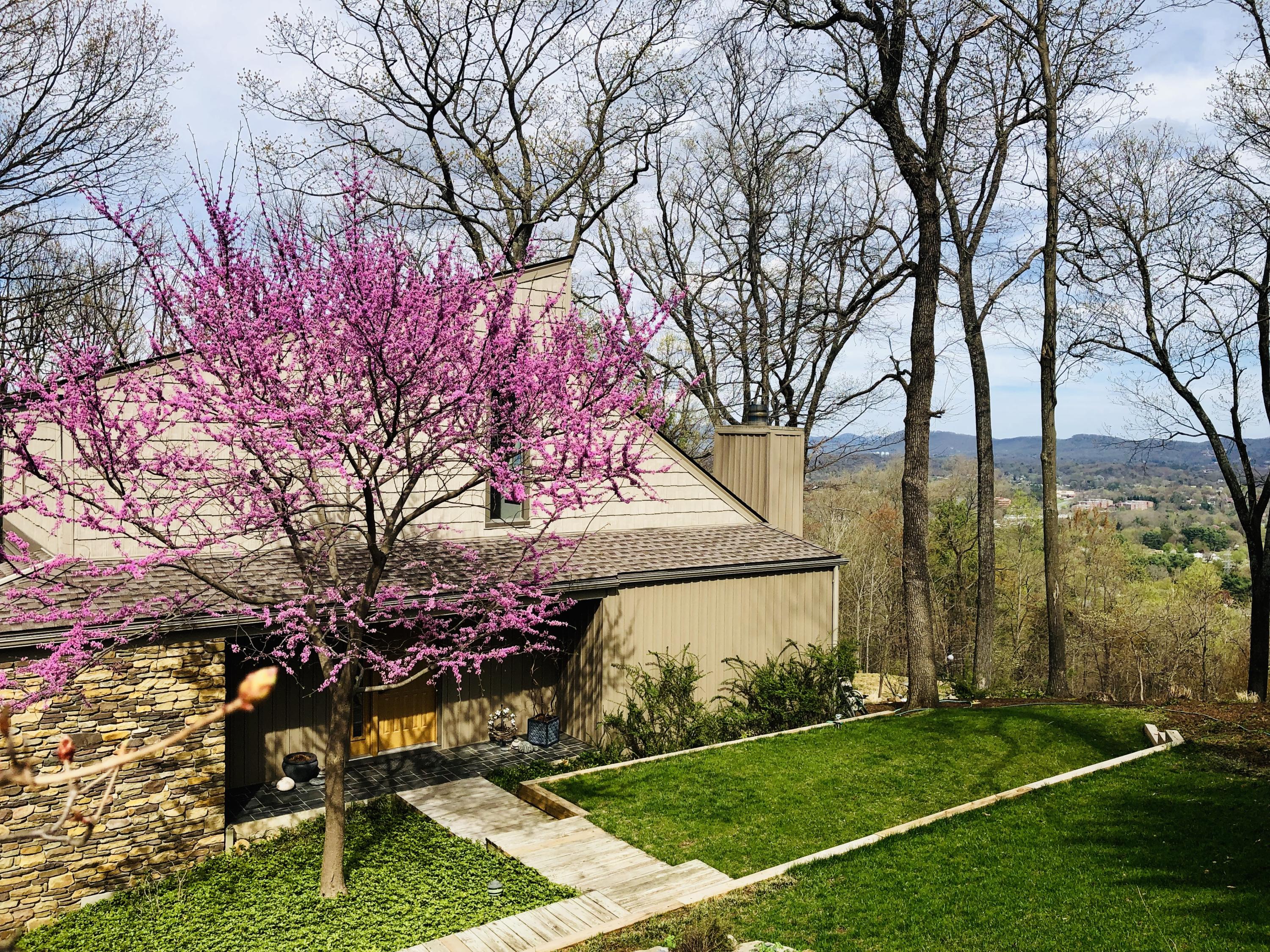 6278 Smokey Ridge Road Roanoke, VA 24018 - Photo 78 of 86 IMG_0661