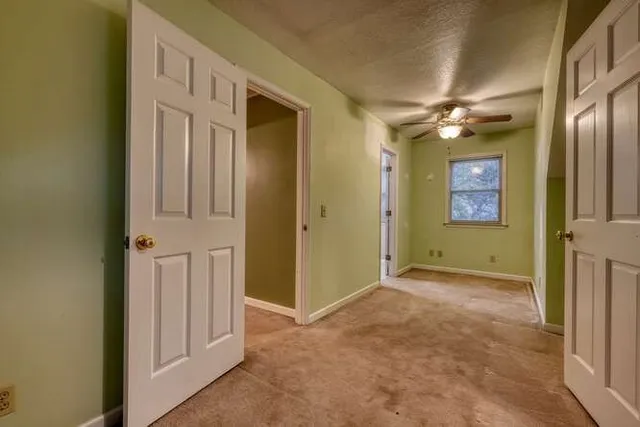 a view of a tree in a yard