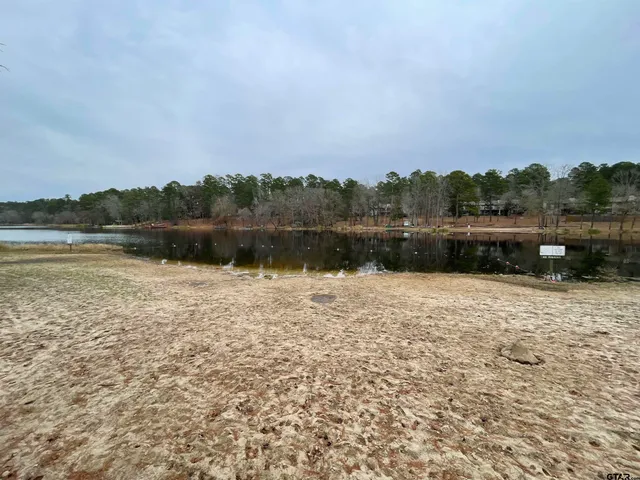 a view of a lake with houses in the back