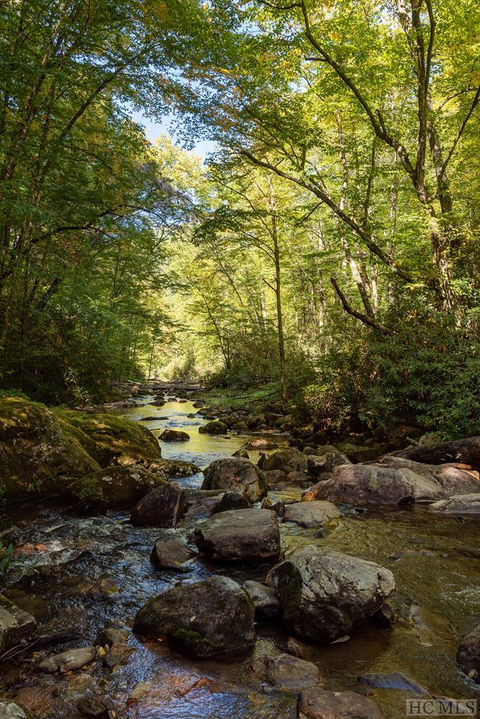3183 Cullowhee Forest Road Cullowhee, NC 28723 - Photo 42 of 44 Gallery Image 42