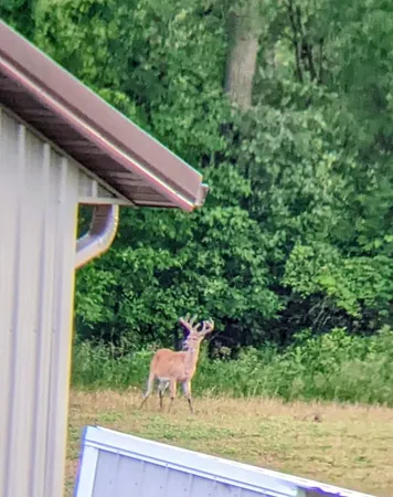 $1,842,775 | N8481 Town Hall Road, Black Creek, WI 54106