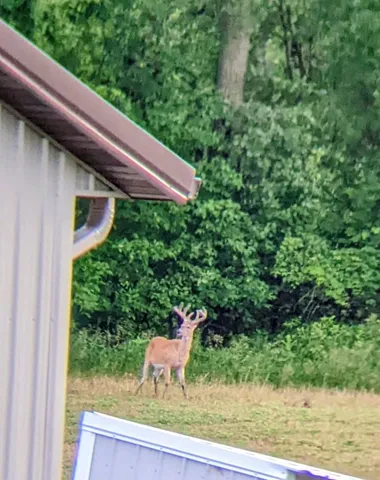 $1,842,775 | N8481 Town Hall Road, Black Creek, WI 54106