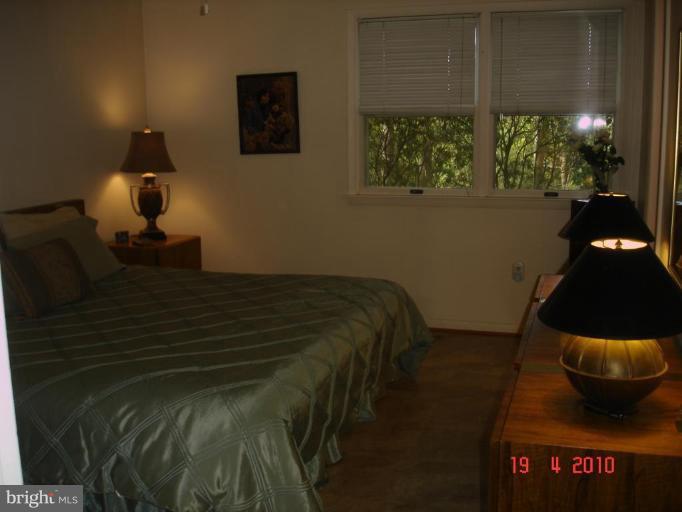 11 Bee Tree Road Parkton, MD 21120 - Photo 13 of 30 Master Bedroom