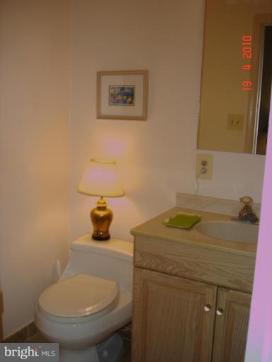 11 Bee Tree Road Parkton, MD 21120 - Photo 14 of 30 Master Bath