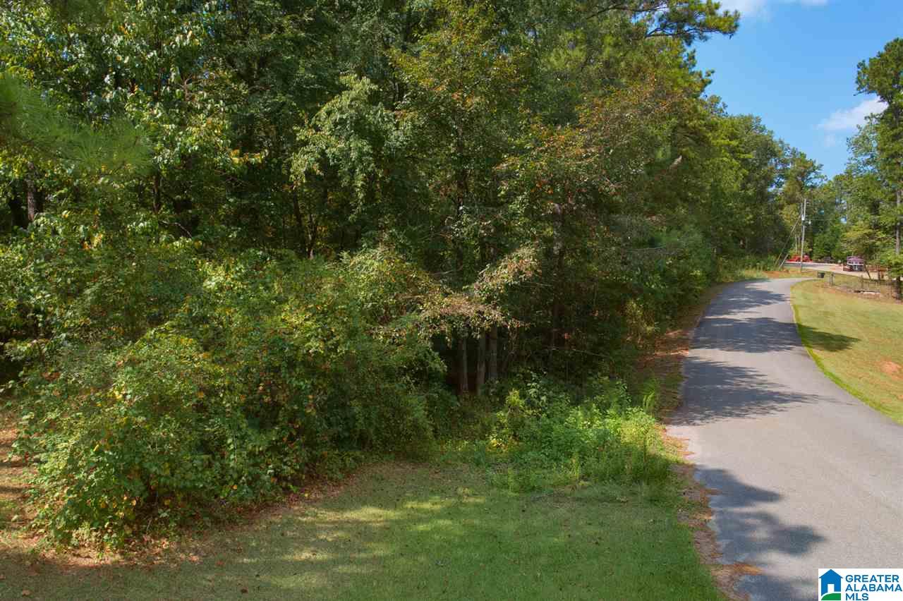 4 Road Riverside Al, Unit 11 Ragland, AL 35131 - Photo 3 of 7