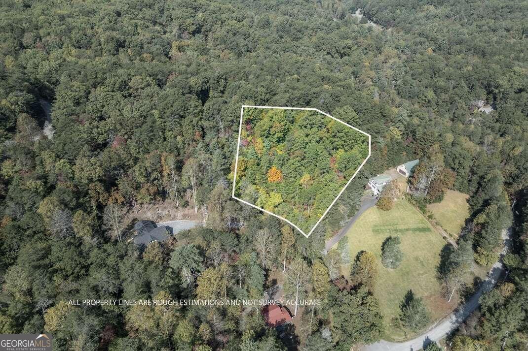 Lot 71 Laurel Crossing Blue Ridge, GA 30513 - Photo 1 of 1 a view of a wall with a tree in the background