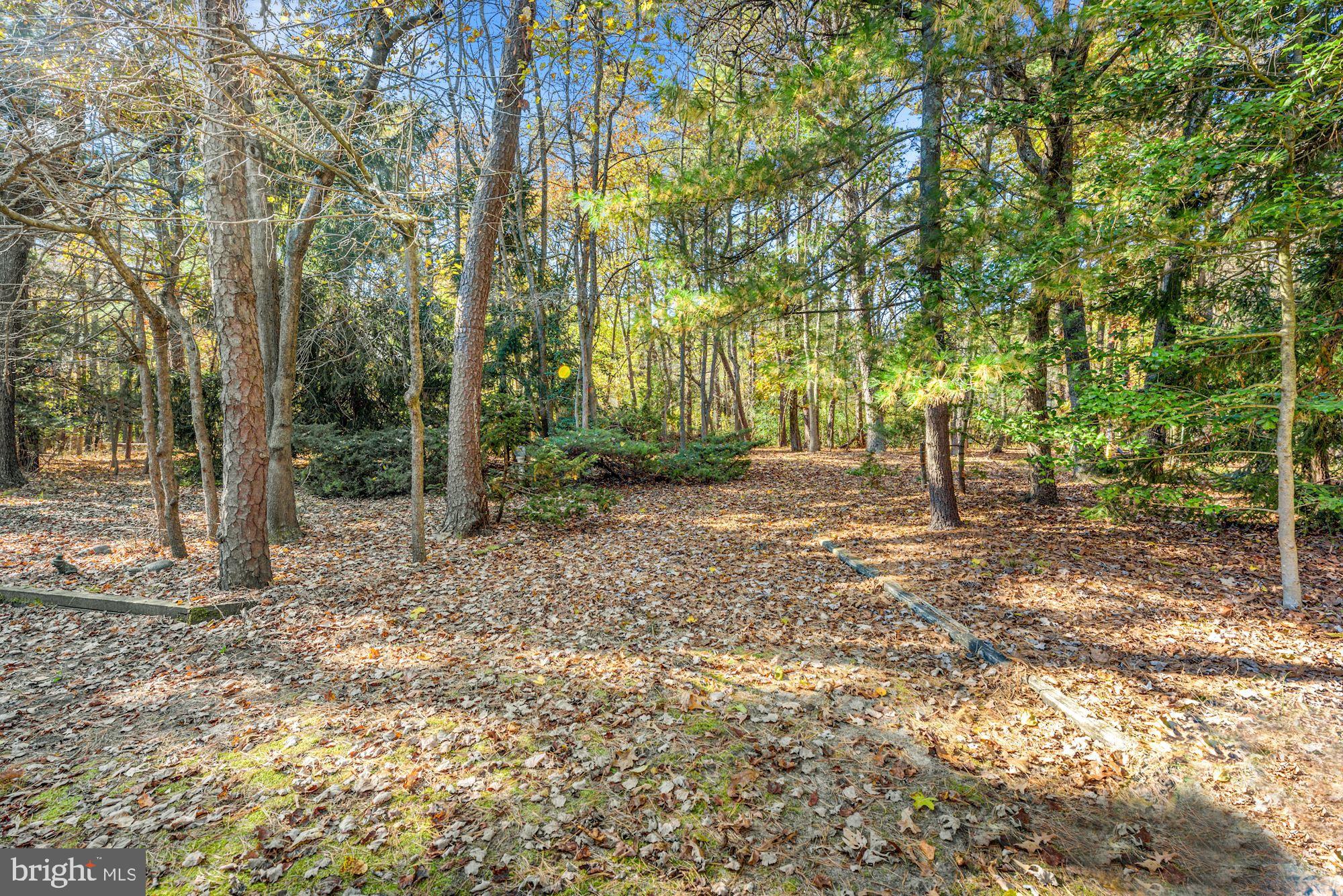 122 Heath Road Medford, NJ 08055 - Photo 30 of 43 Gallery Image 30